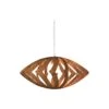 Versatile Pendant Light