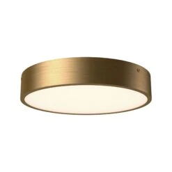 Adelaide LED Flush Mount Ceiling Light