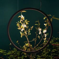 Artemide O Outdoor LED Suspension Light -City Lights Store artemide o outdoor led suspension light lifestyle 01 bfa326c3 9c92 4d92 8c40 05756bc61cb2