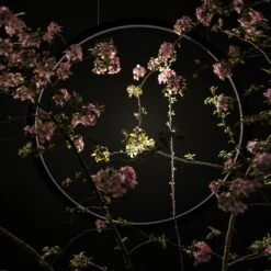 Artemide O Outdoor LED Suspension Light -City Lights Store artemide o outdoor led suspension light lifestyle 02 c8c89c4e 7c2a 45e2 9fdd c32d1941d745