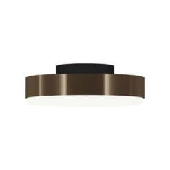 Discus LED Flush Mount Ceiling Light