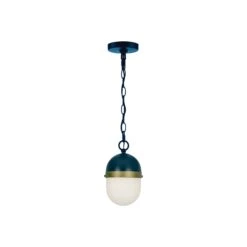 Capsule Outdoor Pendant Light