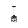 Ripley Outdoor Pendant Light -City Lights Store currey and company ripley outdoor pendant light 01a aec06dd4 d292 46a1 9724 e5b9f36e9031