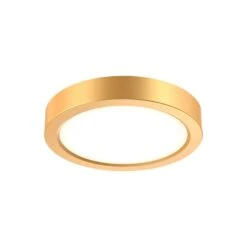 Delta Round Indoor/Outdoor LED Flush Mount Ceiling Light