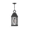 Briar Outdoor Pendant Light -City Lights Store hinkley briar outdoor pendant light 01