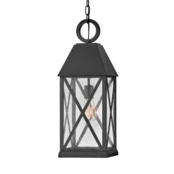 Briar Outdoor Pendant Light -City Lights Store hinkley briar outdoor pendant light 03