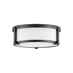 Lowell Flush Mount Ceiling Light -City Lights Store hinkley lowell flush mount ceiling light 02