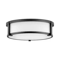 Lowell Flush Mount Ceiling Light -City Lights Store hinkley lowell flush mount ceiling light 06