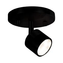 Lyra Monopoint Spot Light
