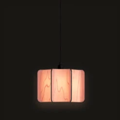 Kactos Pendant Light -City Lights Store lzf kactos pendant light 26 dbc5bcb1 1c54 4b6b 82d2 075b667f140b