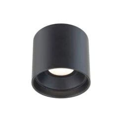 Squat Outdoor LED Flush Mount Light