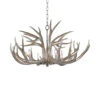 Antler Chandelier -City Lights Store regina andrew antler chandelier 01a 7322f6a2 0456 489d 9a75 17ca031e62ab