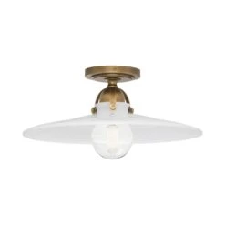 Arial Flush Mount Ceiling Light