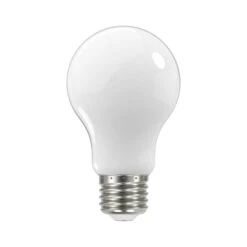 Medium Base A Type LED Bulb