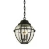 Bunker Hill Outdoor Pendant Light