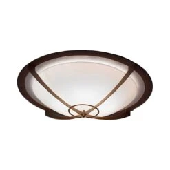 Synergy Flush Mount Ceiling Light