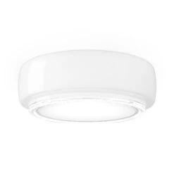 Bot Flush Mount Ceiling Light