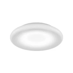 Pod LED Ceiling / Wall Light