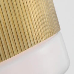 Ace LED Flush Mount Ceiling Light -City Lights Store visual comfort ace led flush mount ceiling light 15