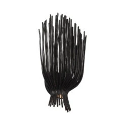 Astra Sculpted LED Wall Light