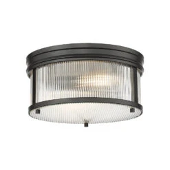 Z-LIte Carnaby Flush Mount Ceiling Light