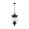 Z-LIte Davina Outdoor Pendant Light -City Lights Store z lite davina outdoor pendant light 01 c87e9d15 e2b4 4a02 9b8b 2cf17ec2e2e8