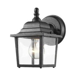 Z-LIte Waterdown Outdoor Glass Wall Light